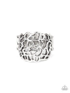 Paparazzi Ring (R222)